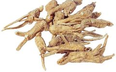 Angelica Sinensis (Dang Gui): A Comprehensive Overview