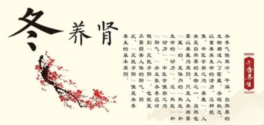 Health Science Popularization: TCM Seasonal Health Tips