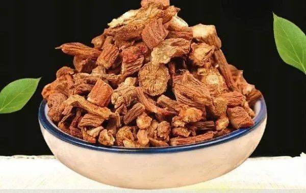 Benefits of Drinking Salvia Miltiorrhiza Tea: Effects, Applications, and Important Precautions