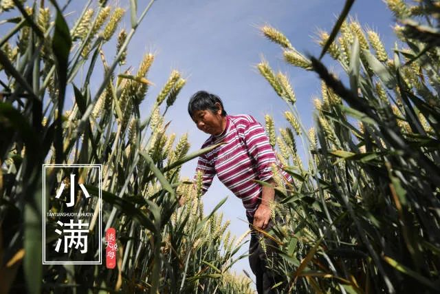 Preparing for the Humid and Hot Days of the Year: Tips for Health During Xiaoman