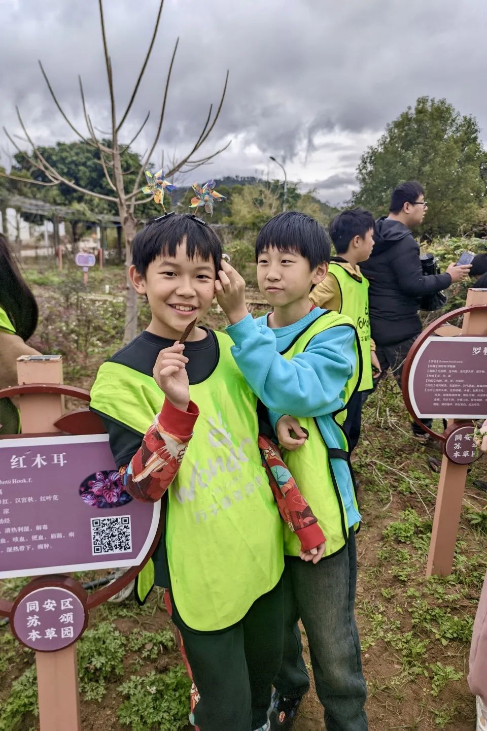 Exploring Medicinal Herbs and Agricultural Experiences: Class 2 of 2020 at Park Primary School Enjoys Springtime in the Fields