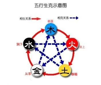 The Power of the Five Elements in Traditional Chinese Medicine
