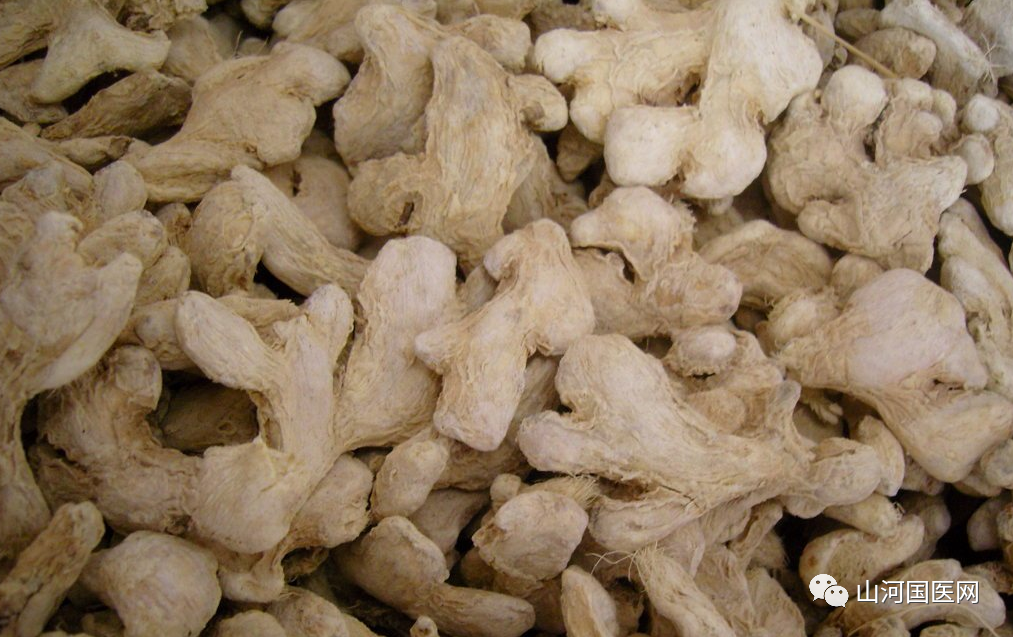 Traditional Chinese Medicine: Dried Ginger