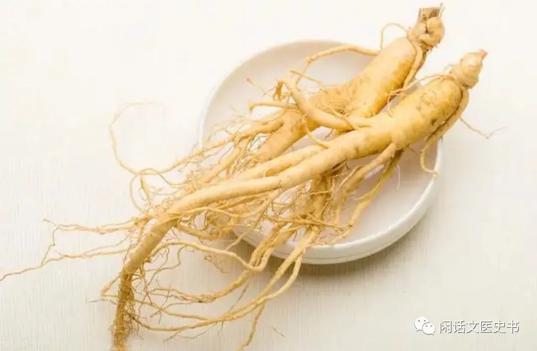 A Brief Discussion on Ginseng