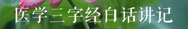 Shizhen Sheng: Zhang Zhongjing's Six Methods for Treating "Damp-Heat" (Part 1 and 2)