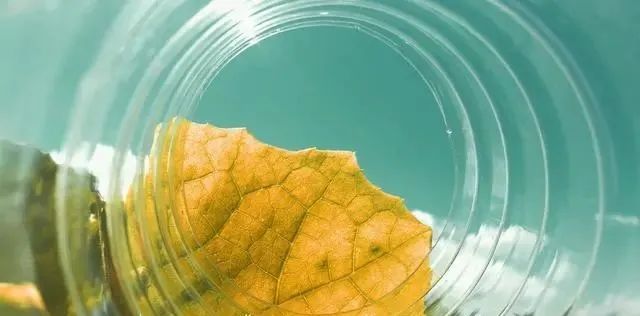 Yang Deficiency with Floating Fire