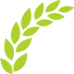 Intercropping in Vegetable Cultivation: Mutual Beneficial and Harmful Relationships
