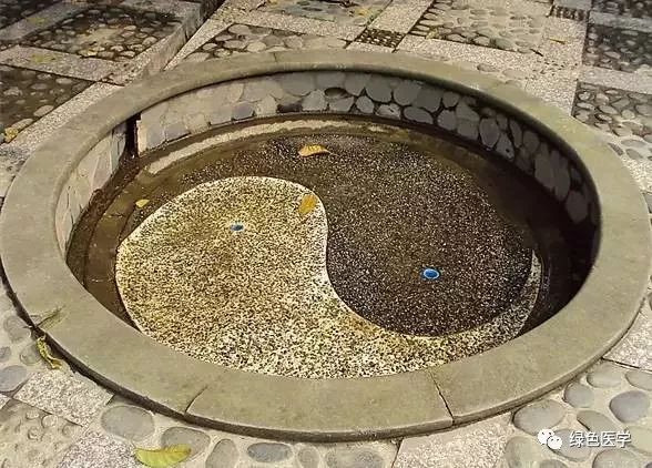 Understanding Yin and Yang in Traditional Chinese Medicine