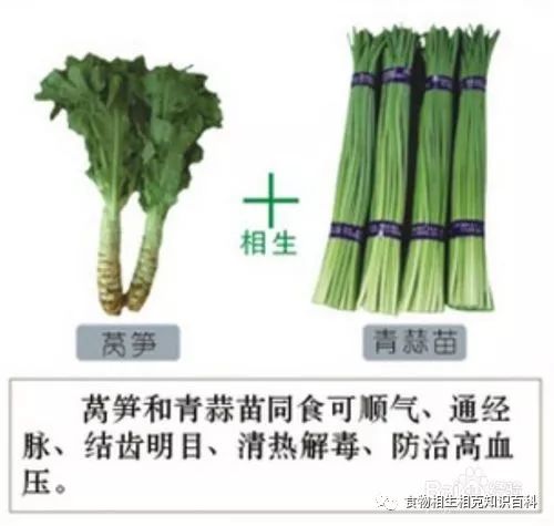 A Comprehensive Guide to Complementary and Contradictory Foods in TCM