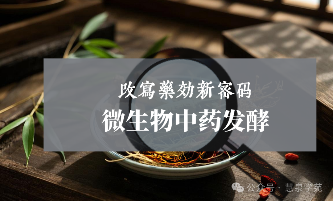Unlocking the Secrets of Efficient Microbial Fermentation Processes in Traditional Chinese Medicine