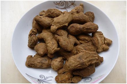 Clinical Applications of Fresh Ginger, Dried Ginger, Processed Ginger, and Ginger Charcoal