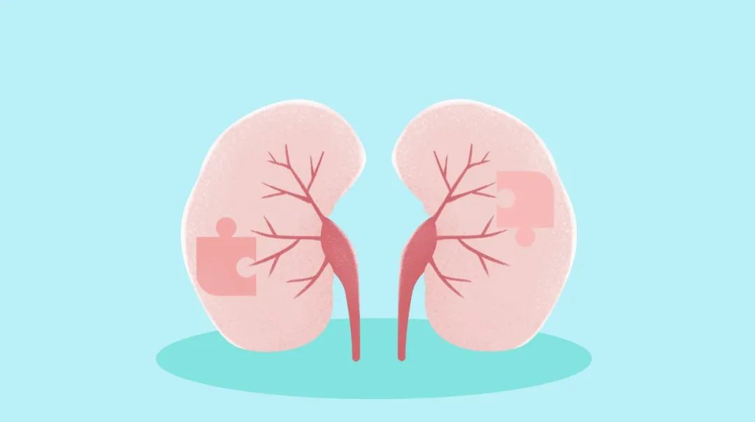 Kidney Yang Deficiency and Kidney Yin Deficiency: Different Approaches to Kidney Nourishment