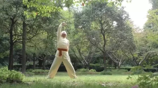 Simple and Easy to Learn! Illustrated Guide to the Twelve Movements of the Ancient Yi Jin Jing (Includes Video)