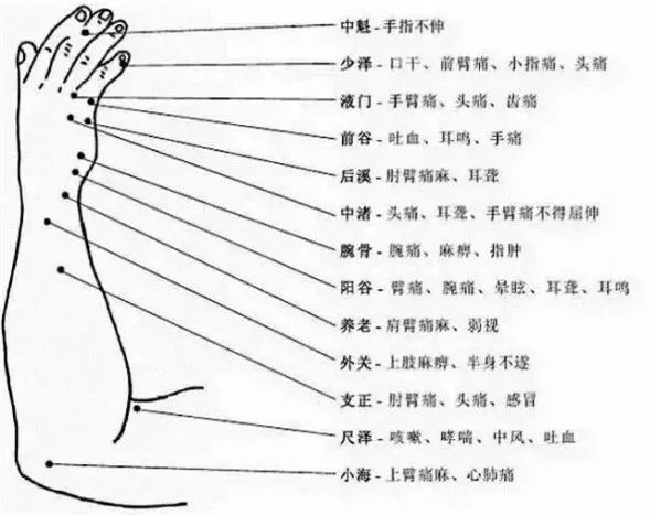 The Most Comprehensive Atlas of Acupuncture Points and Their Effects!