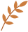 Correct Treatment of Wind-Heat Cold