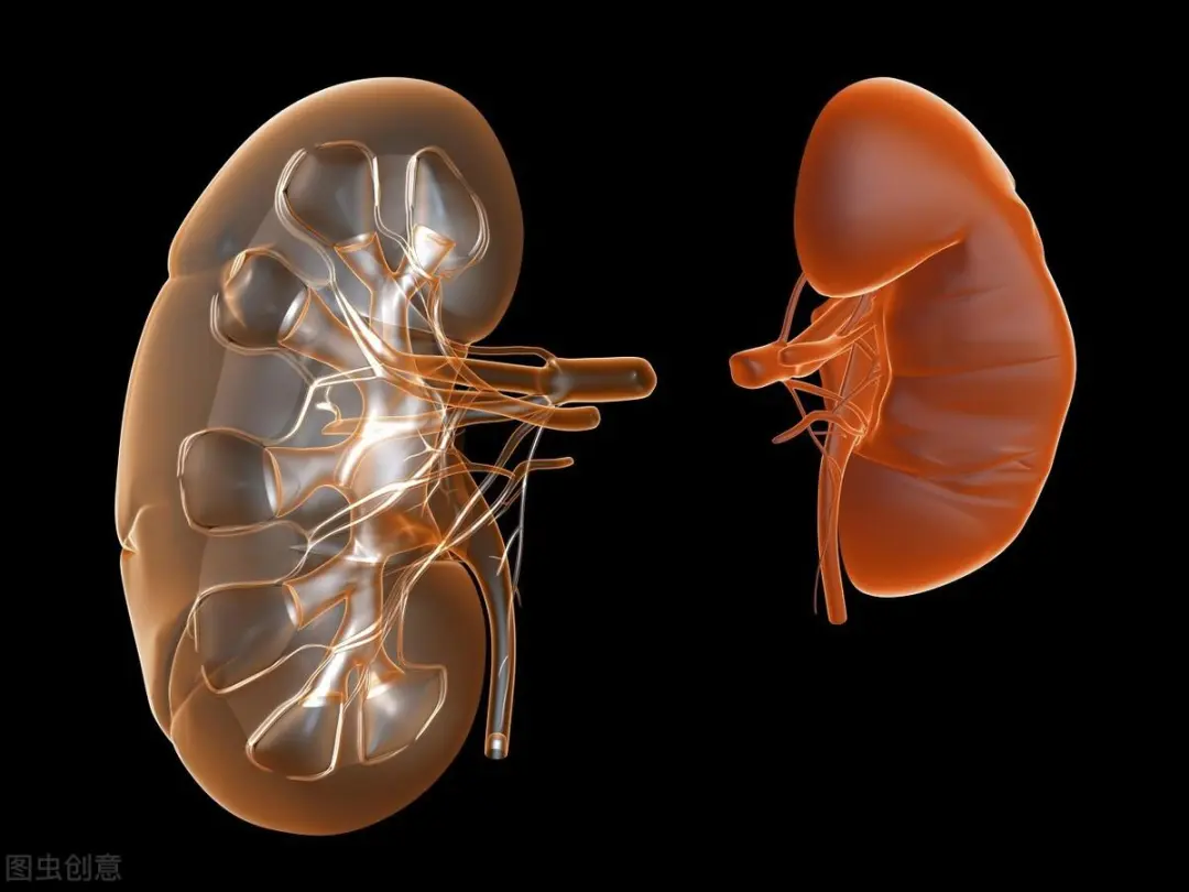 Four Major Qi-Boosting Traditional Chinese Medicine Formulas for Heart, Spleen, Lung, and Kidney Qi to Energize You All Year Round