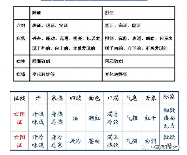 Understanding TCM Diagnosis: Eight Principles and Organ Differentiation to Enhance Your Diagnostic Skills!