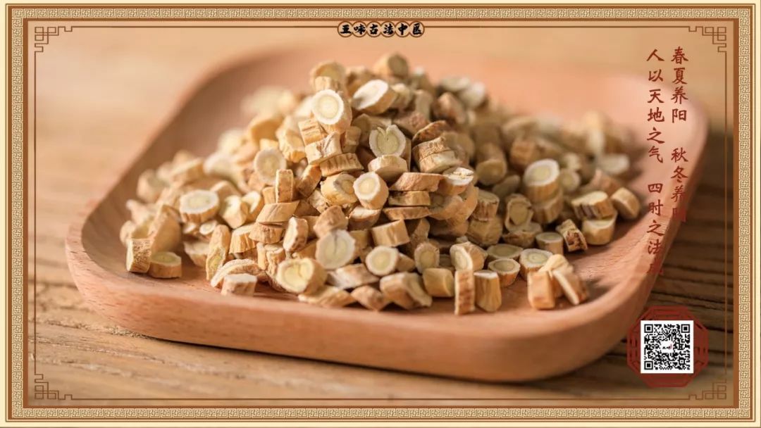 This Herb is Known as the 'King of Qi-Boosting'