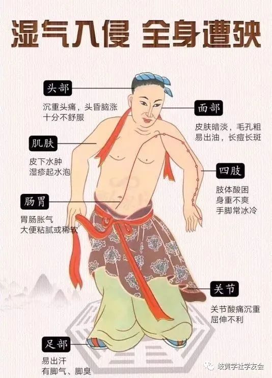 Understanding Dampness in Traditional Chinese Medicine: Symptoms, Effects, and Remedies