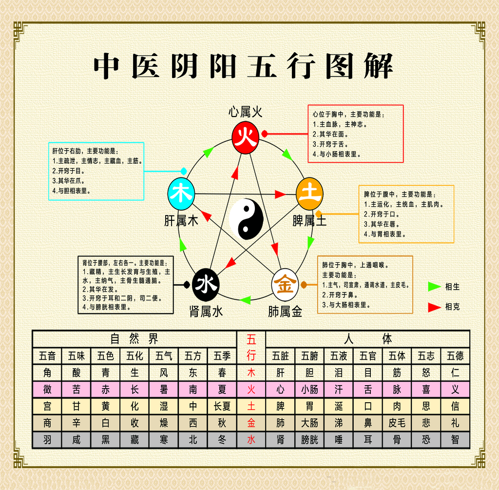 How to Regulate the Five Organs and Six Bowels Using the Six-Character Formula?
