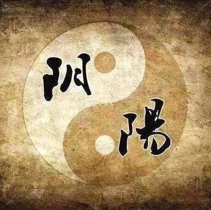 Addressing Spleen and Kidney Yang Deficiency to Prevent Blood Stasis: A TCM Approach