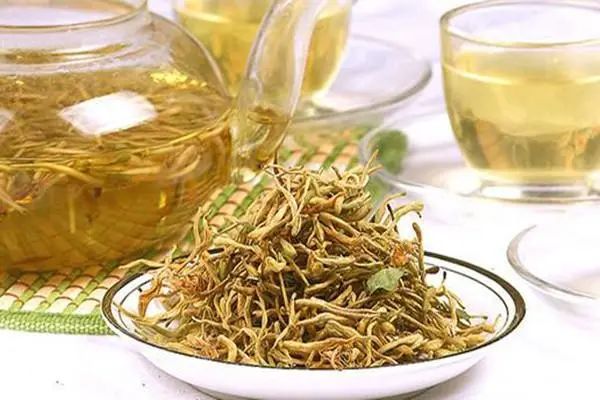 The Efficacy and Functions of Honeysuckle (Jin Yin Hua)