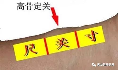 Pulse Diagnosis Methods in Traditional Chinese Medicine