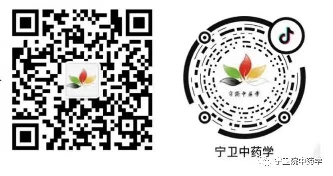 Daily Identification of Huang Lian (Coptis chinensis)