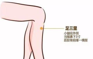 Phlegm-Dampness in Traditional Chinese Medicine