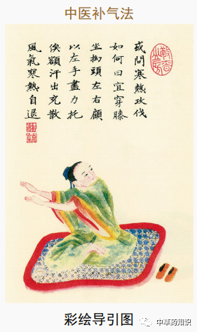 Traditional Chinese Medicine Knowledge | Astragalus