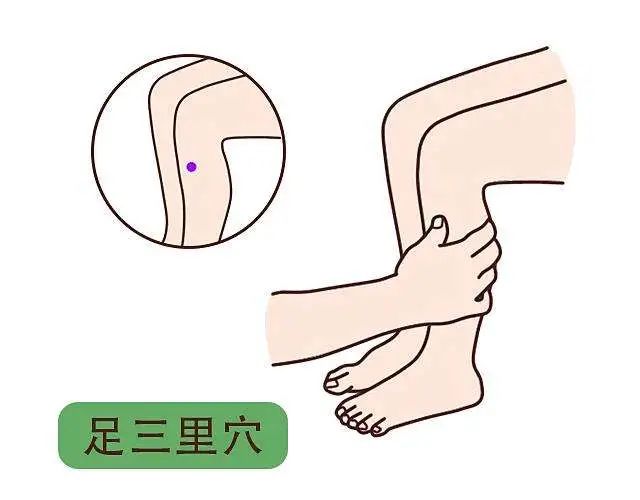 Nurturing Nine Types of Constitutions in Traditional Chinese Medicine