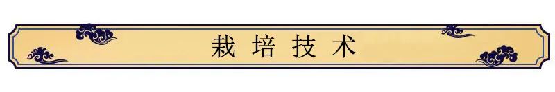 Techniques for Cultivating Chinese Medicinal Herbs