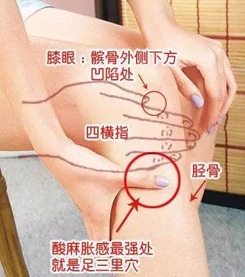 Eight Effective Methods to Improve Spleen and Stomach Yang Deficiency (Practical)