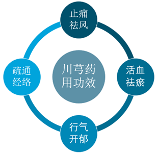 Understanding Chuanxiong: The 'Ibuprofen of Traditional Chinese Medicine'