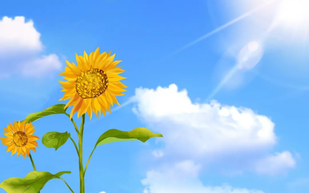 How to Nourish the Qi Deficiency Constitution?