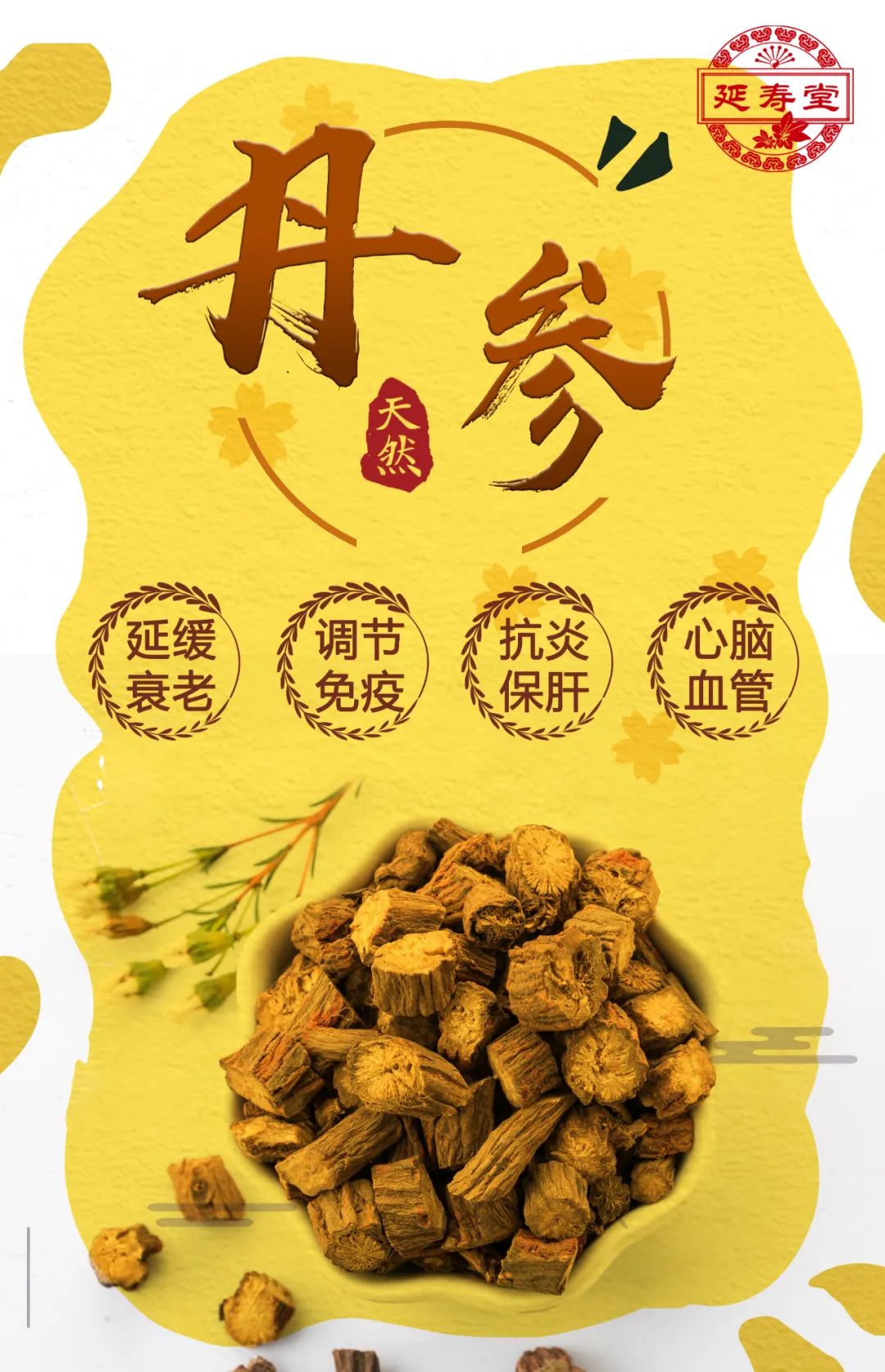 Understanding Danshen (Salvia miltiorrhiza) in Traditional Chinese Medicine