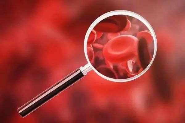 What Foods Are Best for Nourishing Blood in Anemia? These 4 Foods Are the Top Choices!