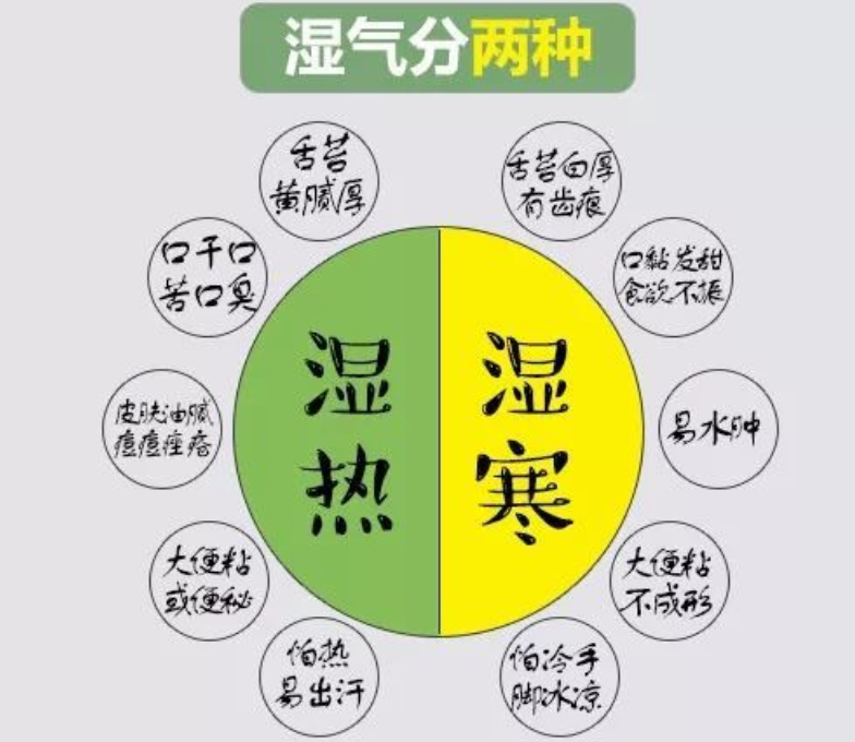 Understanding Damp-Heat and Cold-Damp in Traditional Chinese Medicine