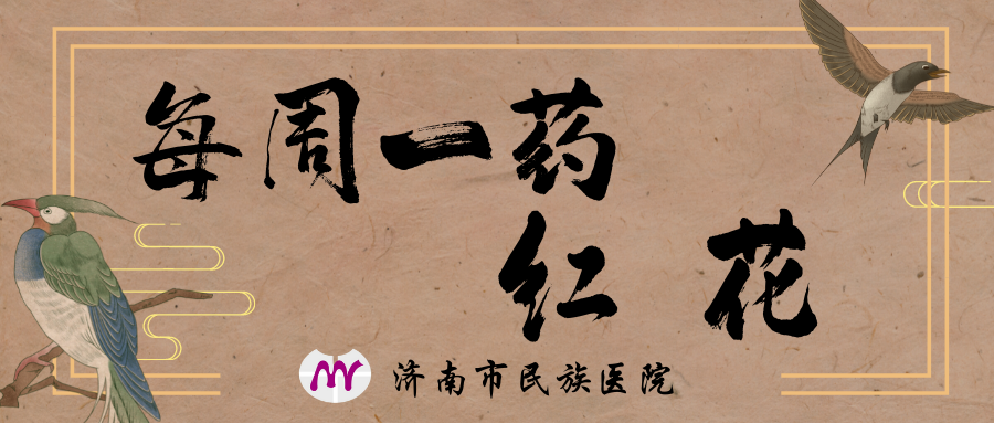 Weekly Herb | Jinan Ethnic Hospital Introduces "Safflower"
