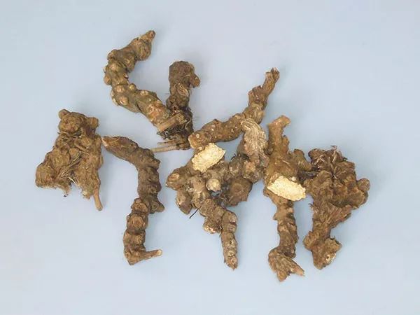 The Efficacy and Functions of Cang Zhu: Drying Dampness, Strengthening the Spleen, Dispelling Wind and Cold, and Improving Vision