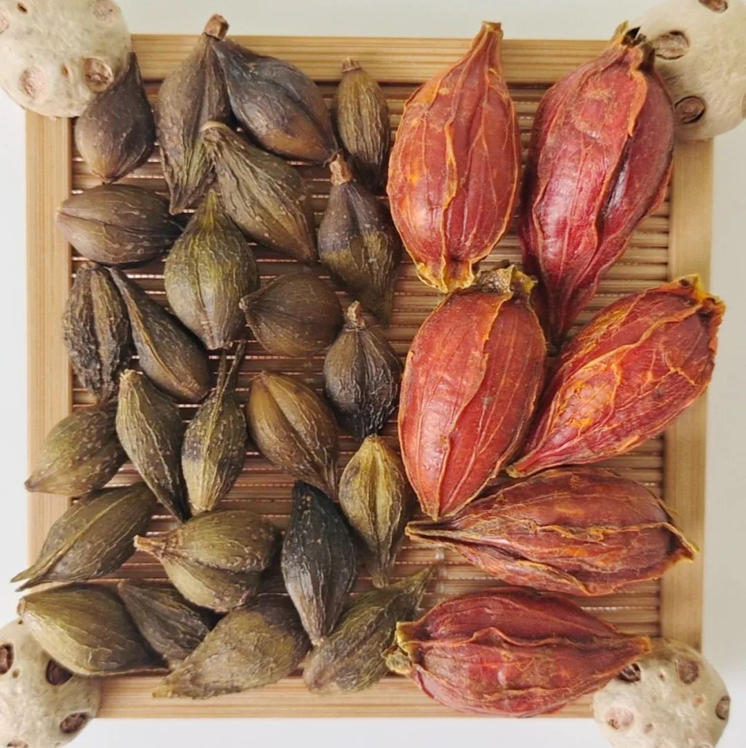 Essential Combinations of Lian Qiao (Forsythia) for Dispelling Heat and Reducing Swelling