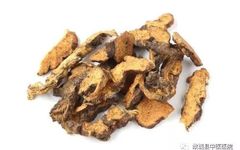 Traditional Chinese Medicine Herb: Cang Zhu (Atractylodes Rhizoma)