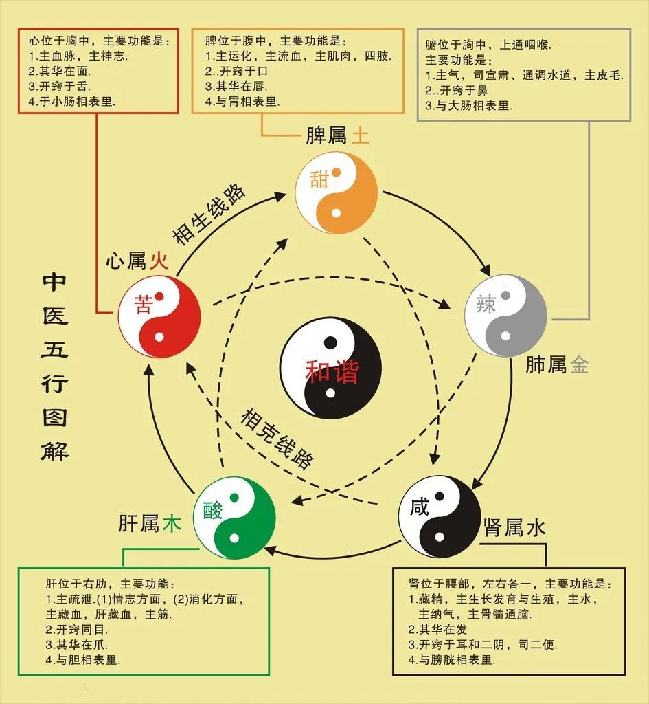 How to Regulate the Five Organs and Six Bowels Using the Six-Character Formula?