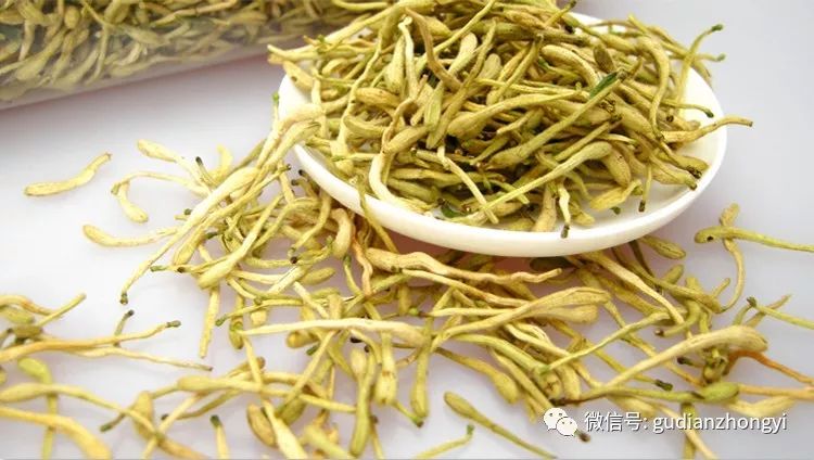 Honeysuckle: Clearing Heat and Detoxifying, Cooling Blood and Resolving Stasis, the Herb that Shines Like Gold and Silver!