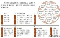 The Art of Daoyin: A Traditional Chinese Health Cultivation Technique