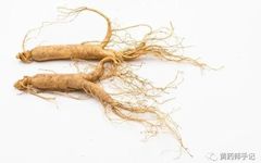 Is Real Ginseng Really So Magical? Its Uses in Emergency, Spleen Deficiency, Insomnia, Diabetes, Premature Aging, and Memory Improvement
