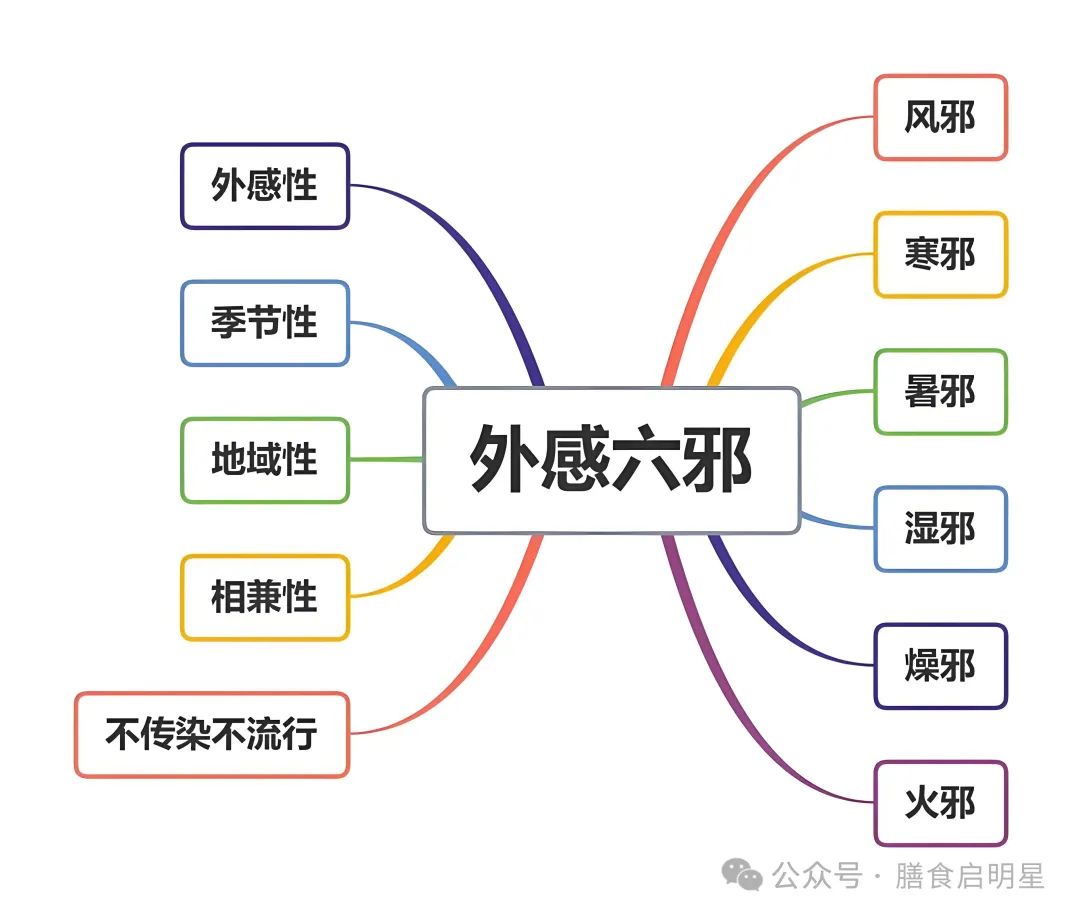 An Overview of the Six Excesses in Traditional Chinese Medicine