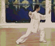 Comprehensive Guide to Tai Chi Movements: Exercise at Home!