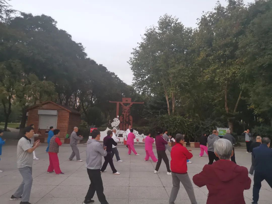 Worried About Not Mastering Tai Chi? The Most Comprehensive Practice Points Are Here! (Be Sure to Save)