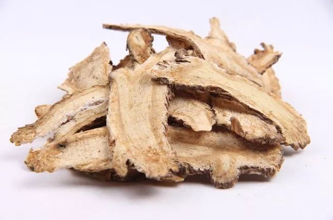 Angelica Sinensis: A Sacred Herb for Women's Health